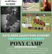 Katelands Equestrian Academy Sardinia Bay City Horse Riding Schools 1_small