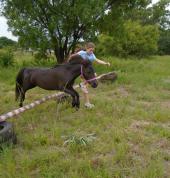 Meet the Minis Derdepoortpark Outdoor & Adventure School Holiday Activities 2_small
