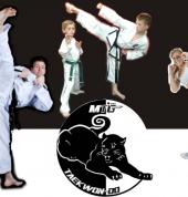 MTG - Martial Arts Taekwon-Do (Emmarentia, Northriding,Bedfordview &Parkmore) Emmarentia Other Martial Arts Clubs 1_small