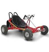 Petrol Go-karts