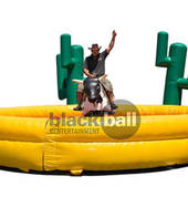 Mechanical Bull
