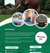 Description of our services