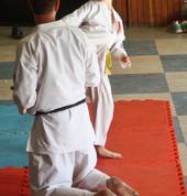 Phoenix Goju Ryu Rietfontein Rietfontein Karate Classes & Lessons 1_small