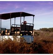 Game drives are always a favourite for the whole family
