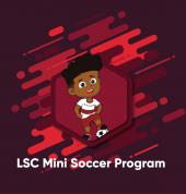 Life soccer clinics Johannesburg Soccer Associations 2_small