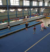 All levels of gymnastics