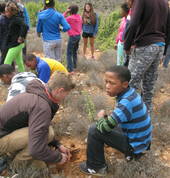 Spekboom planting in Baviaanskloof