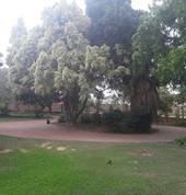 Coalfields Nursery, Boarding and Extra Lessons Rustenburg City Preschools 2_small
