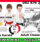 Seiwa Kai Goju Ryu Cape Town Table View Karate Classes & Lessons 2_small