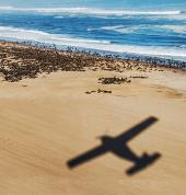 Fly-in Safaris