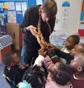Reptile show