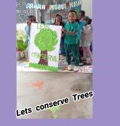 Learning Tree Academy - Preschools and Baby Centers - Ferndale, Blairgowrie, Linden, Cresta, Florida Linden Preschools 2_small