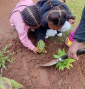 planting on earthday