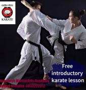 Noordwyk Martial Arts Academy Noordwyk Karate Clubs 2_small
