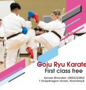 Noordwyk Martial Arts Academy Noordwyk Karate Clubs 3_small