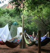 Hammocks