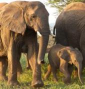 3-Day Kruger National Park Experience