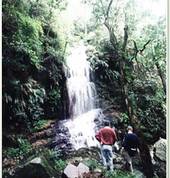 Hike to the Waterfall in our 'Cloud' forest
