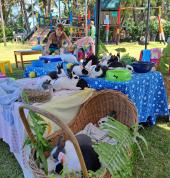 Hug A Bun rabbit petting Durban City Mobile Farm & Animals 2_small