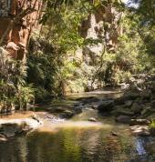 Bermanzi Hiking Trails and Mountain Lodge Machadodorp City Family Holidays 1_small