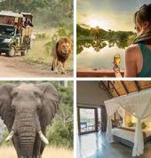 Best of Kruger Private Safari