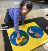 Montessori theme