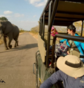 Safaria | Kruger Park Safaris` White River Game Reserves 1_small
