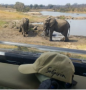 Safaria | Kruger Park Safaris` White River Game Reserves 2_small