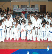 participants in tournament