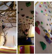 Wall and indoor tree-climbing