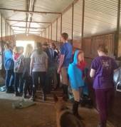 Esperanza Holiday Camps for children Pretoria City Camping 3_small