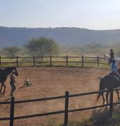 Heartland KZN Camperdown Horse Riding Classes & Lessons 1_small
