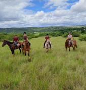 Heartland KZN Camperdown Horse Riding Classes & Lessons 2_small
