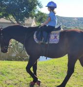 Heartland KZN Camperdown Horse Riding Classes & Lessons 3_small