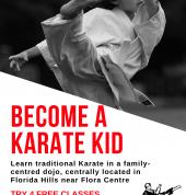 become a karate kid