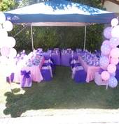 Doc McStuffins Party