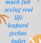 Little Harvards Nursery and Daycare Centre Edenburg Early Learning Classes & Lessons 2_small