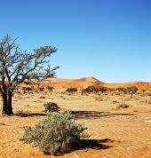 Namibia Travels Trip Tours and Safaris Cape Town City Family Holidays 2_small