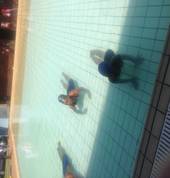 Penguin Aquatic Swim School Johannesburg Swimming Classes & Lessons 1_small