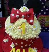 Cakes & Cupcakes