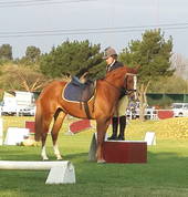 Sudrah Riding School Upington City Horse Riding Classes & Lessons 1_small