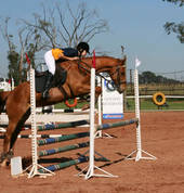 Sudrah Riding School Upington City Horse Riding Classes & Lessons 2_small