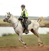 Sudrah Riding School Upington City Horse Riding Classes & Lessons 3_small
