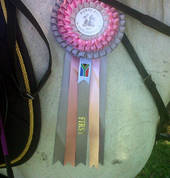 Sudrah Riding School Upington City Horse Riding Classes & Lessons 5_small