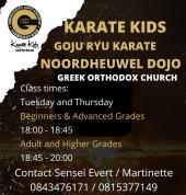 Karate Kids -Goju Ryu Karate Ruimsig Karate Clubs 3_small