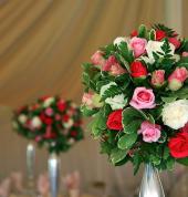 Celebrating Moments: Discover Our Beautifully Curated Event Designs