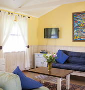 Spacious Livingg rooms