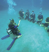 Teaching is fun underwater
