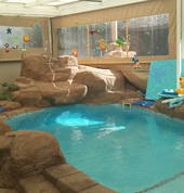 Pool size 6mx 3m