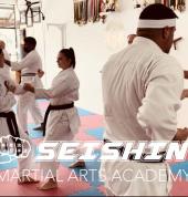 Advanced Karate Training